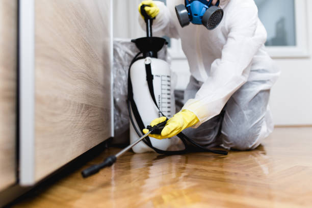 Best Termite Control Services  in Del Mar, CA