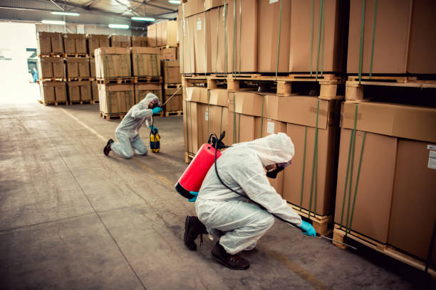 Best Mosquito Control Services  in Del Mar, CA