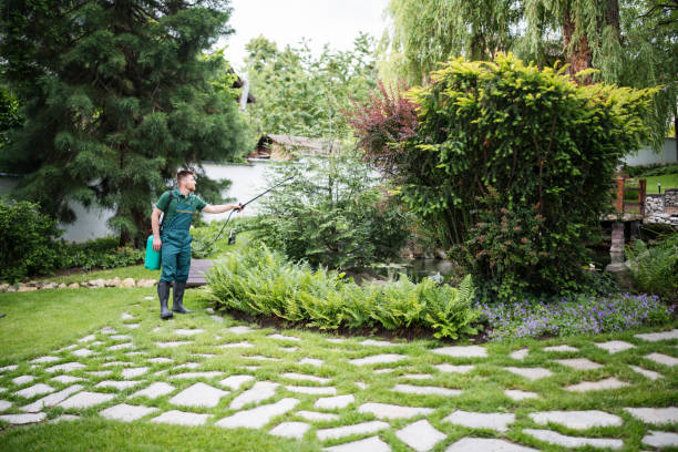 Best Emergency Pest Control  in Del Mar, CA