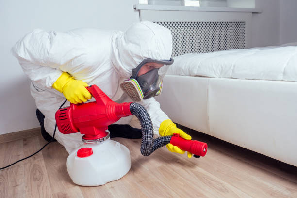 Reliable Del Mar, CA Pest Control Solutions