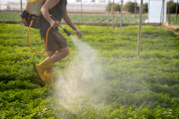 Best Pest Prevention Services  in Del Mar, CA
