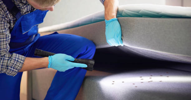 Best Local Pest Control Services  in Del Mar, CA