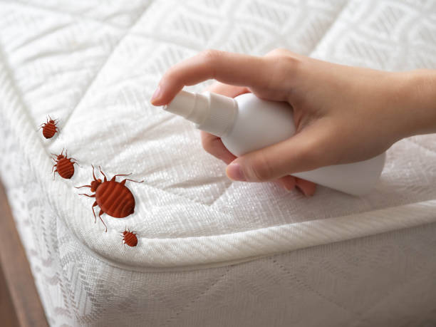 Pest Control for Restaurants in Del Mar, CA