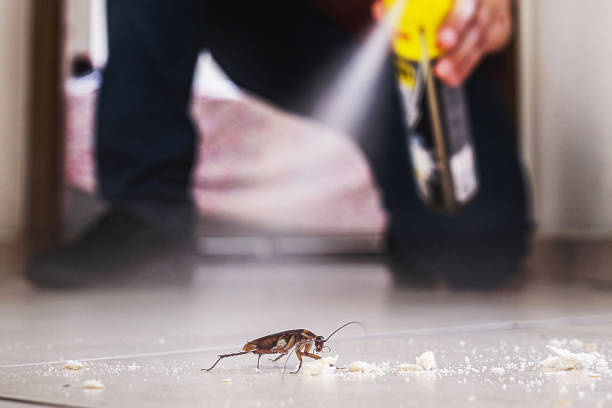 Best Pest Control for Restaurants  in Del Mar, CA